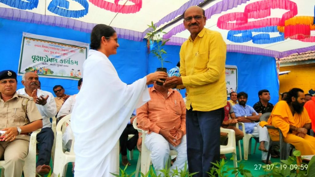 अमरेली વૃક્ષા રોપણ કાર્યક્રમ ચિતલ ગામ