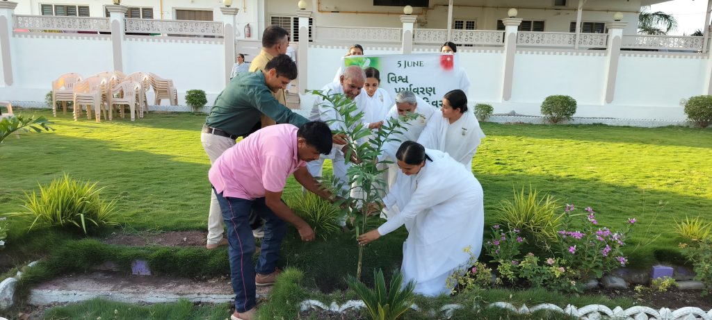 World Environment Day - 5 June 2024